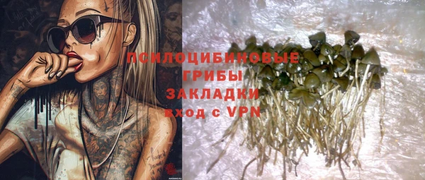 амф Алексин