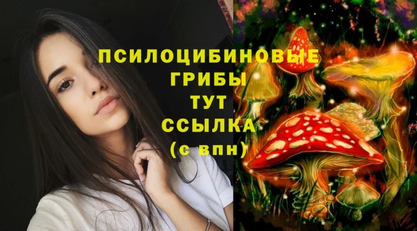 прущая мука Алзамай