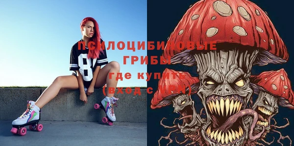 прущая мука Алзамай