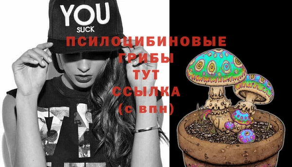 кокаин премиум Алексеевка