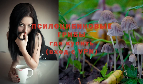 стафф Абдулино