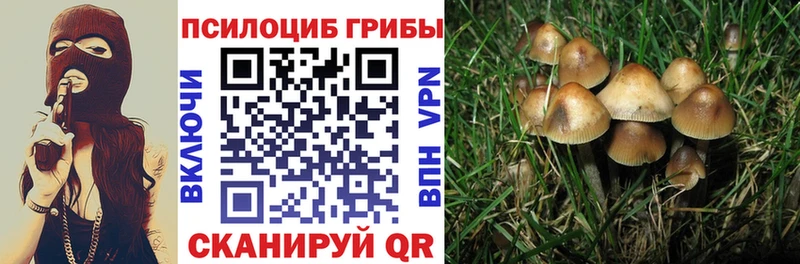 цены наркотик  Уварово  Галлюциногенные грибы Magic Shrooms 